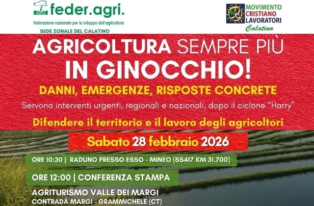 "Agricoltura sempre più in ginocchio!". Domani, sabato 28, sopralluoghi e conferenza stampa di Feder.Agri. e MCL Calatino